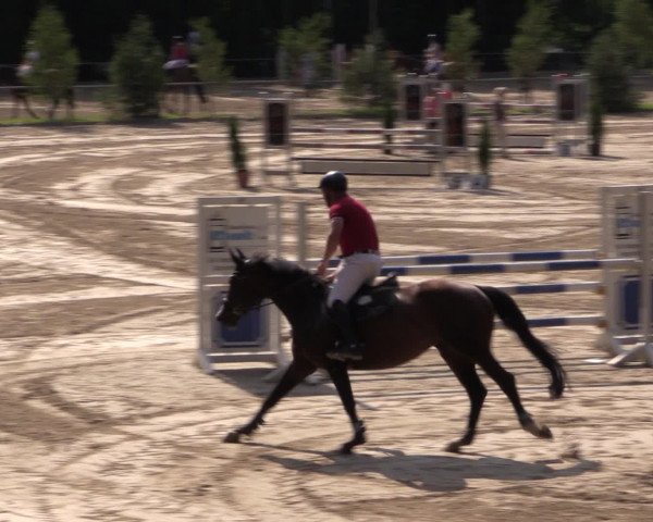 Reitturnier Neunkirchen-Salchendorf 2015