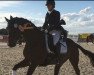 dressage horse Kamani Hill (Trakehner, 2009, from Cadeau)