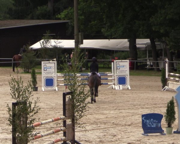 Reitturnier Neunkirchen-Salchendorf 2015