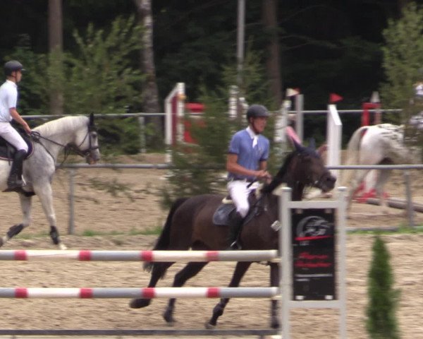 Reitturnier Neunkirchen-Salchendorf 2015