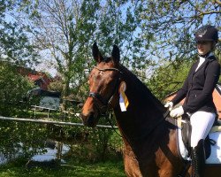 dressage horse Fidget Spinner (Oldenburg, 2014, from Fiderbach OLD)