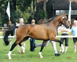 broodmare Fantasie (Westphalian, 2003, from Fidermark)