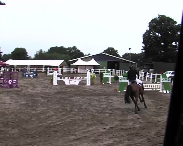Reitturnier Tangstedt/Pinneberg 2015