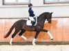 stallion Bon Courage 4 (Hanoverian, 2016, from Bon Coeur)