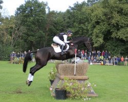 Springpferd Maddocks (Trakehner, 2014, von Hancock)