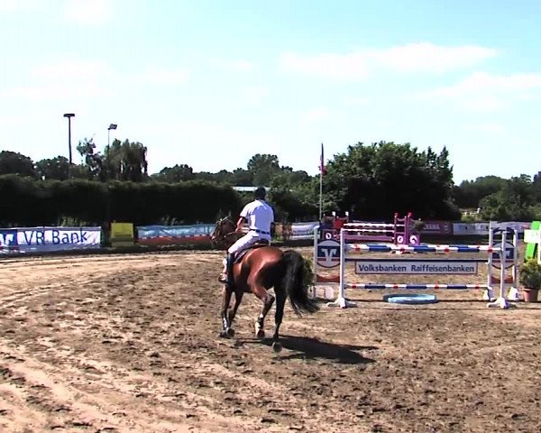 Reitturnier Tangstedt/Pinneberg 2015