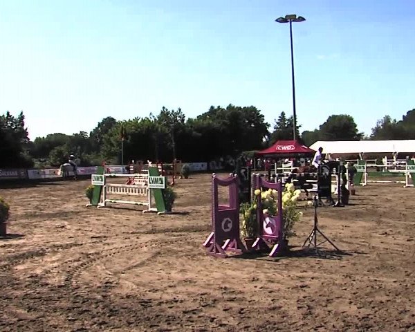 Reitturnier Tangstedt/Pinneberg 2015