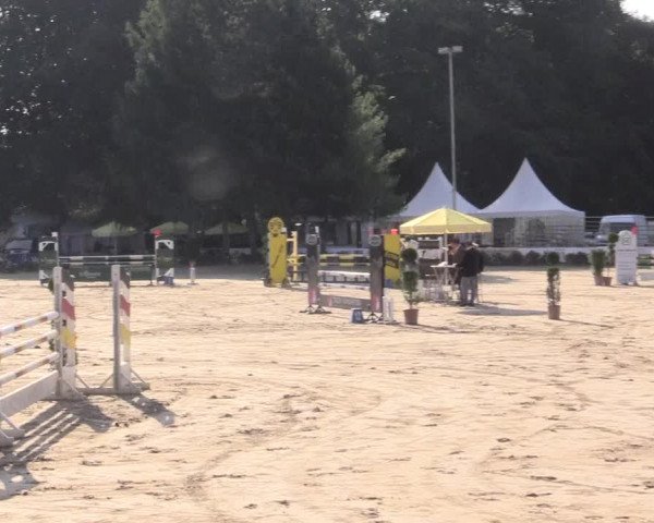 Waltroper Reitertage 2015