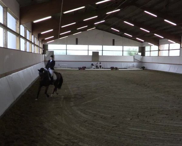 Waltroper Reitertage 2015