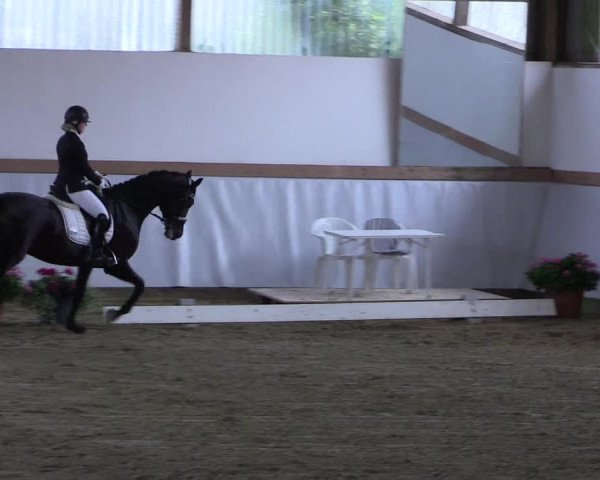 Waltroper Reitertage 2015