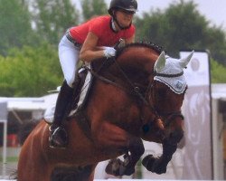 jumper Perigarde MB (Hanoverian, 2009, from Perigueux)