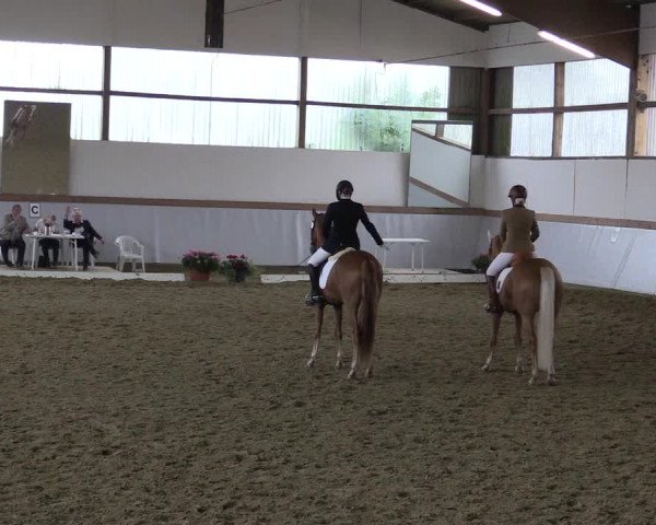 Waltroper Reitertage 2015