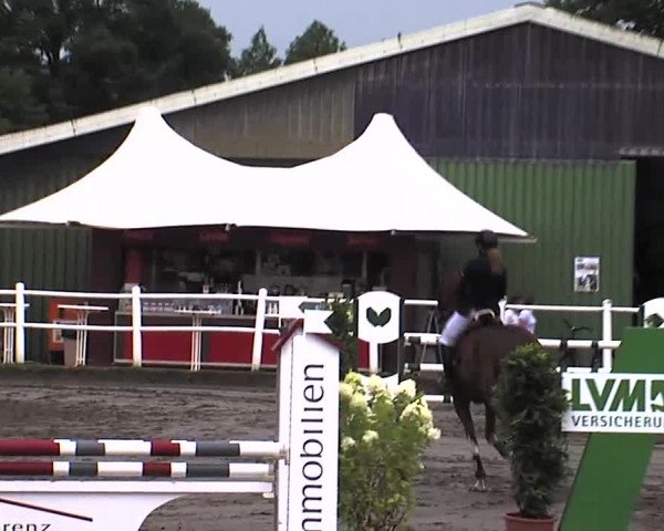 Reitturnier Tangstedt/Pinneberg 2015
