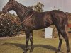 stallion Sexton Blake xx (Thoroughbred, 1975, from Blakeney xx)