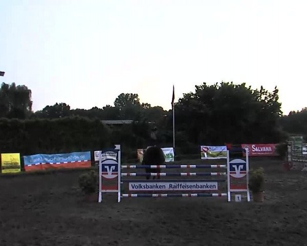 Reitturnier Tangstedt/Pinneberg 2015