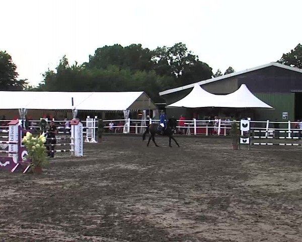 Reitturnier Tangstedt/Pinneberg 2015