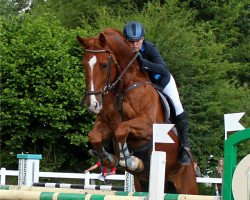 jumper Granziano 6 (Oldenburg show jumper, 2006, from Griseldi)