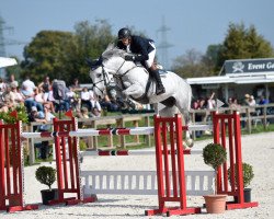 jumper Kira Loe (German Sport Horse, 2011, from Clooney)