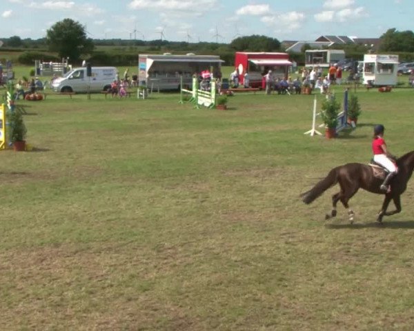 Reitturnier Behrendorf 2015