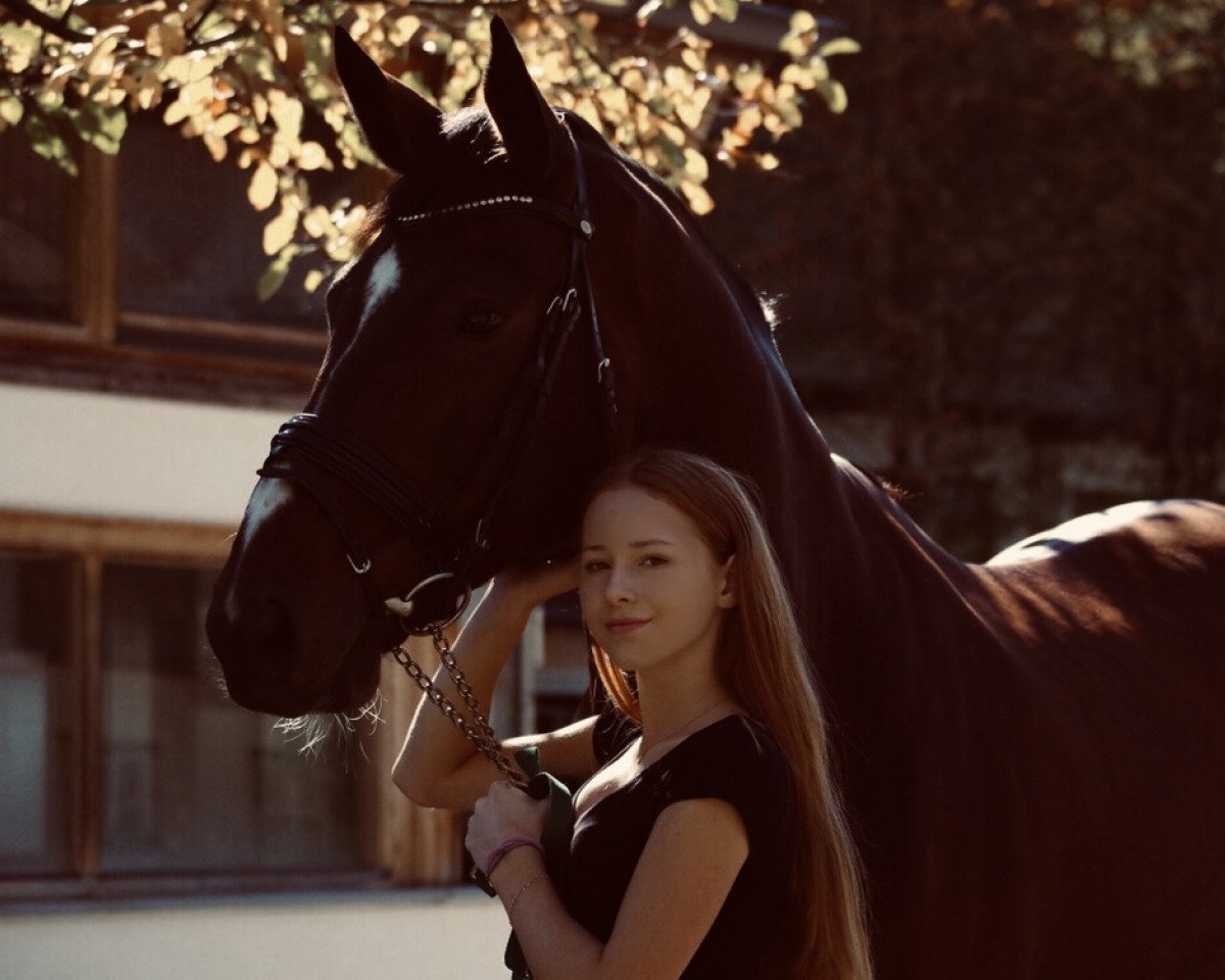 dressage horse His Highlight (Hanoverian, 2005)