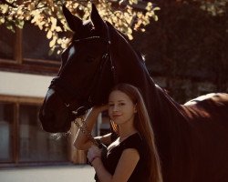 dressage horse His Highlight (Hanoverian, 2005)