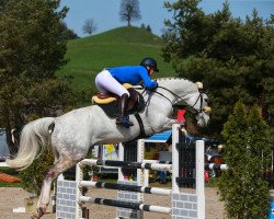 jumper Americo B (KWPN (Royal Dutch Sporthorse), 2005, from Ovidius)