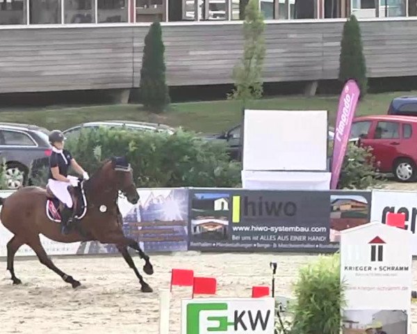 HORSE classics Killingen 2015