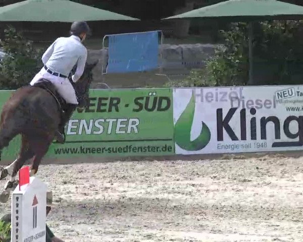 HORSE classics Killingen 2015