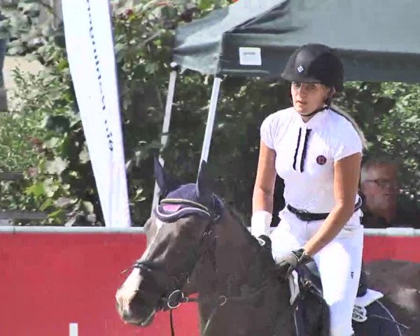 HORSE classics Killingen 2015