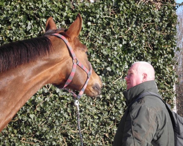 broodmare Lustige (Trakehner, 2007, from Hoftänzer)