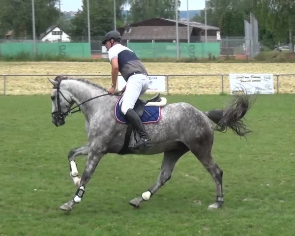 Gültsteiner Springtage 2015