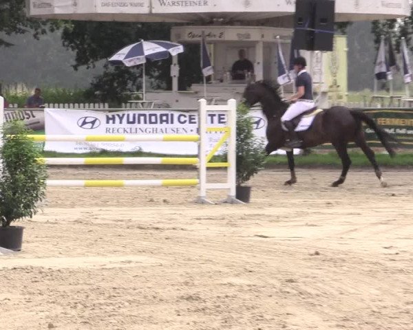 Reitturnier Datteln 2015
