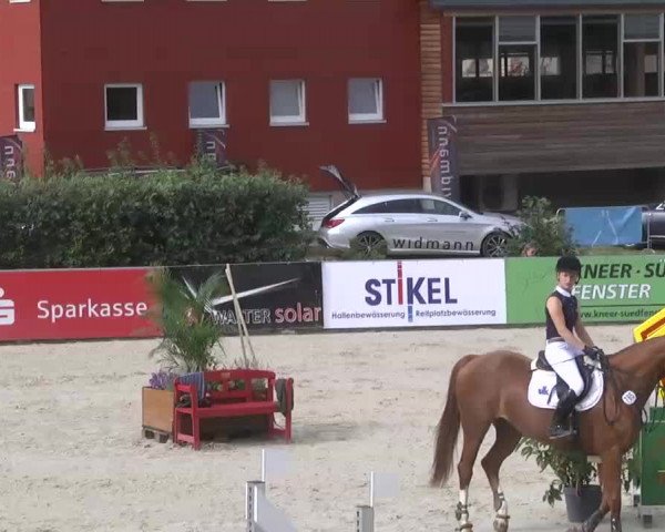 HORSE classics Killingen 2015