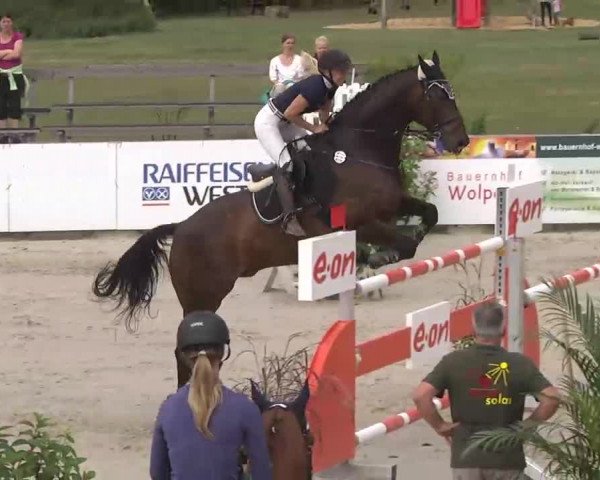 HORSE classics Killingen 2015