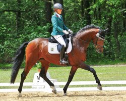 stallion Florisburg (Westphalian, 2016, from Fuechtels Floriscount OLD)