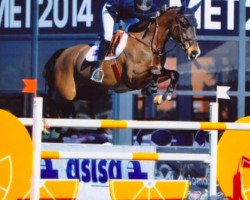 jumper Augustinus Lan (KWPN (Royal Dutch Sporthorse), 2005, from Indoctro)