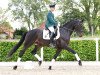 stallion Bon Voyage (Hanoverian, 2016, from Bon Coeur)