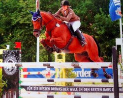 Springpferd Pikeur Cafu (Holsteiner, 2001, von Candillo Z)