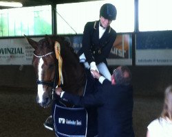 dressage horse De Angelo 6 (Rhinelander, 2006, from De La Vega)