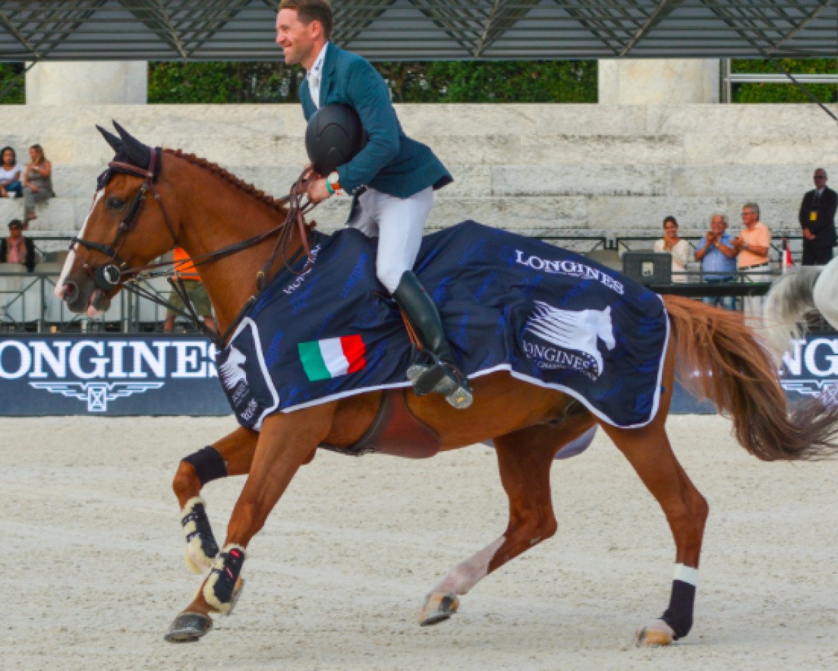 jumper Chesall Zimequest (Holsteiner, 2005, from Casall Ask)