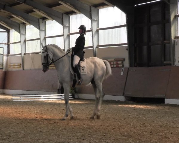 Reitturnier Datteln 2015
