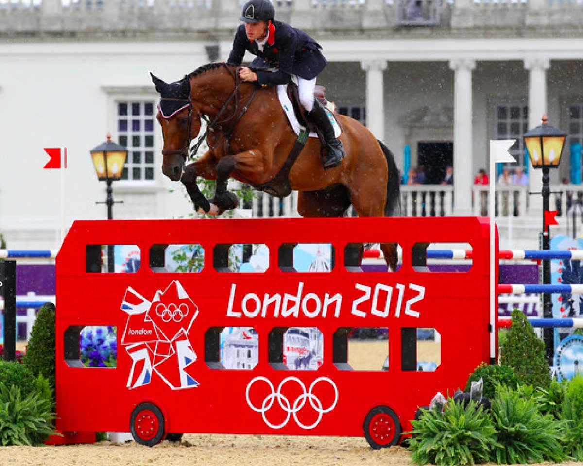 jumper Hello Sanctos (Belgium Sporthorse, 2002, from Quasimodo vd Molendreef)