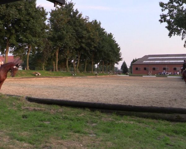 Reitturnier Datteln 2015