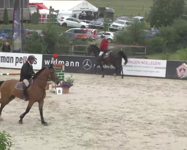 HORSE classics Killingen 2015