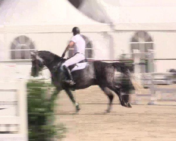 Reitturnier Datteln 2015