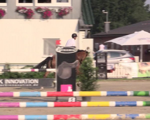Reitturnier Datteln 2015