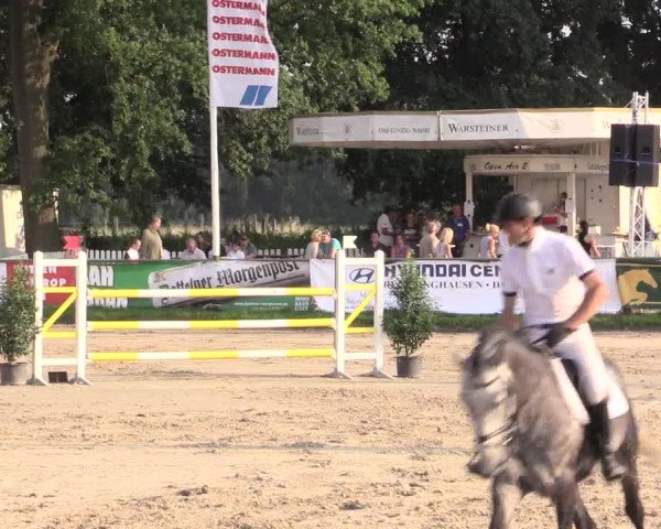 Reitturnier Datteln 2015