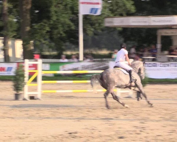 Reitturnier Datteln 2015