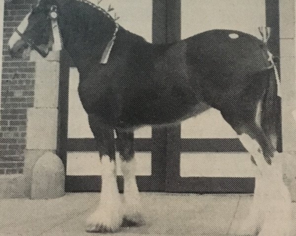 broodmare Hill Topper Jana (Clydesdale, 1987, from Doura Trademark)