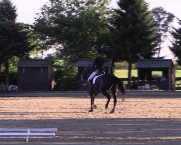 Reitturnier Datteln 2015